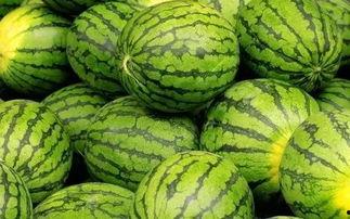 吃瓜网官网免费观看 吃瓜网官网,免费观看，畅享娱乐盛宴